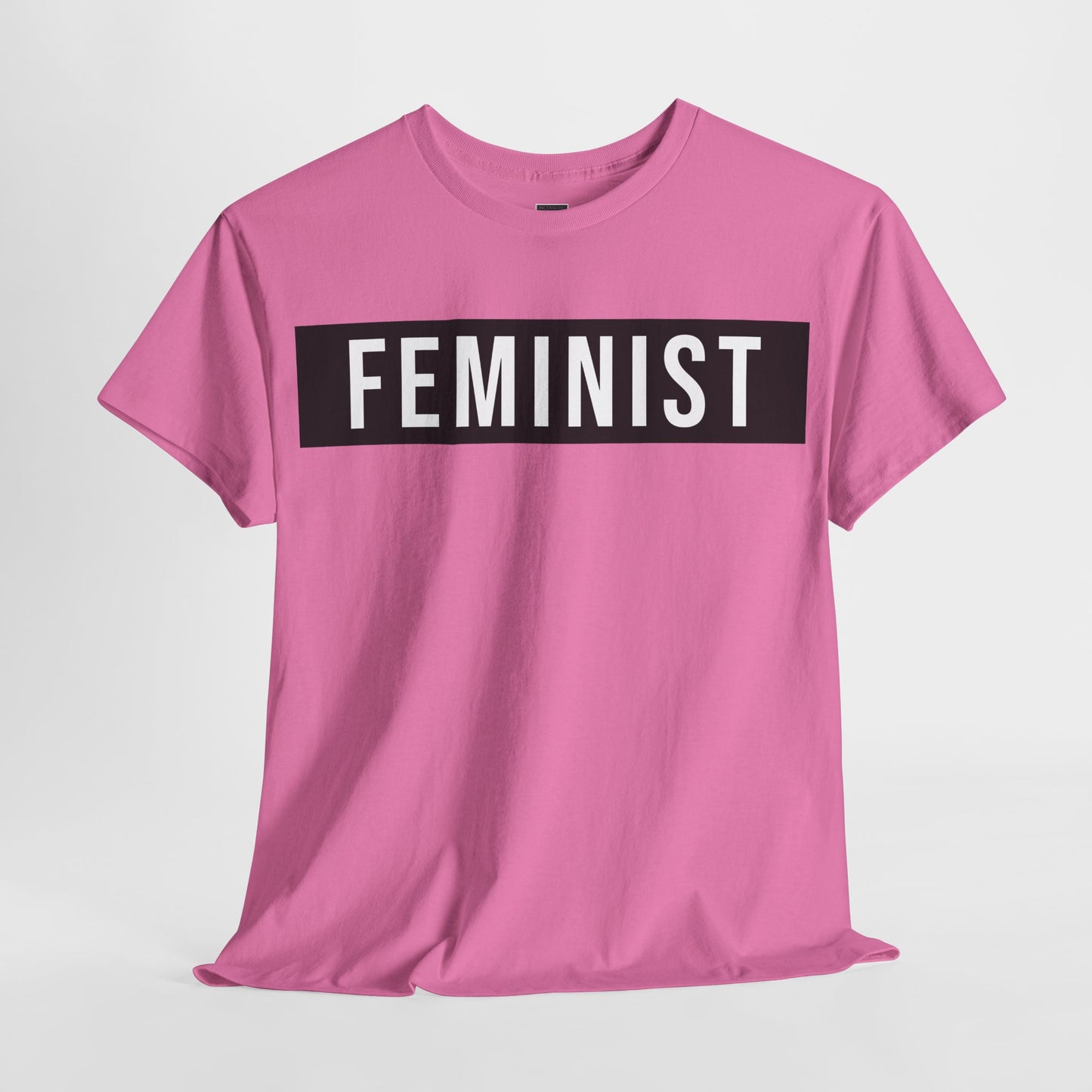 FEMINIST