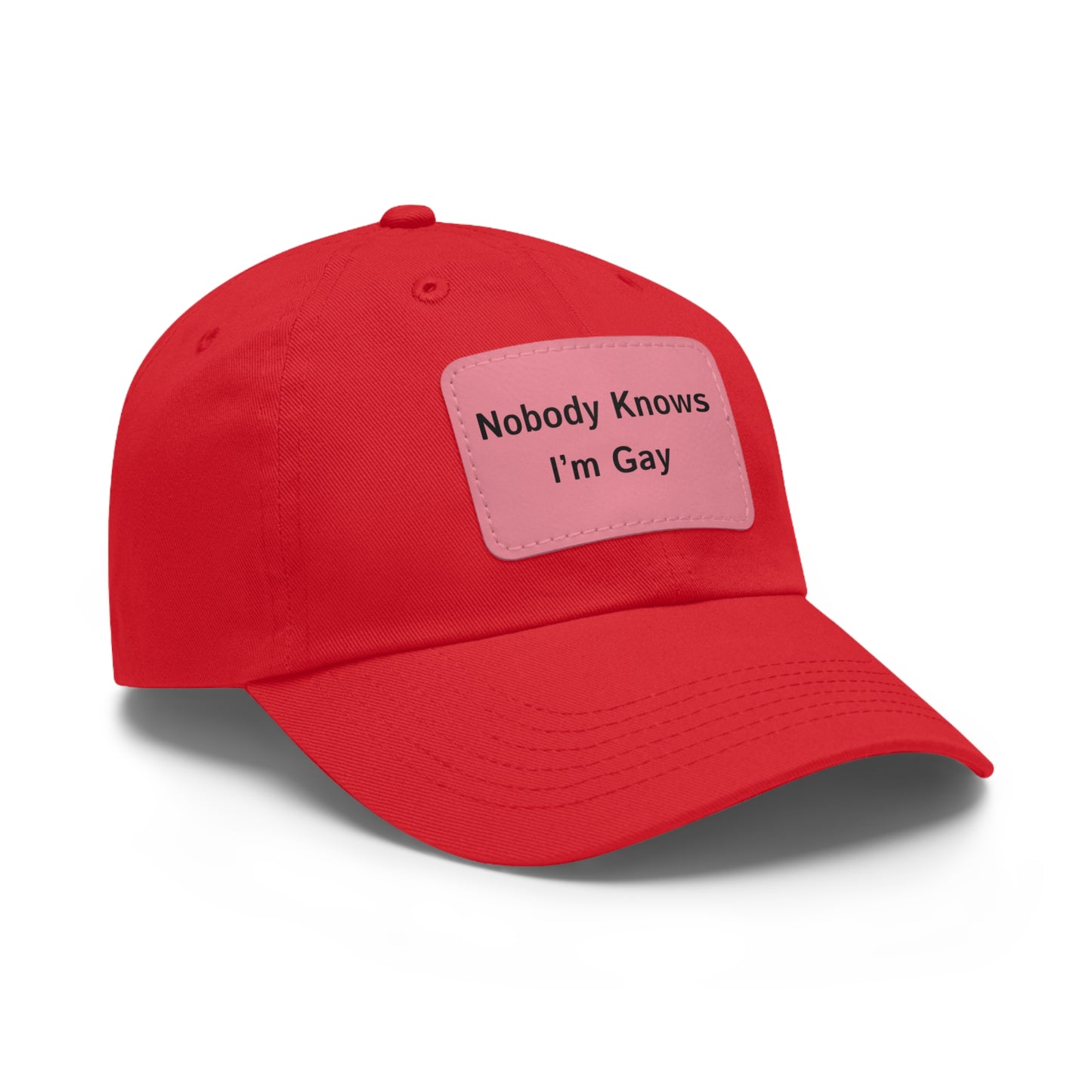 Nobody Knows I'm Gay Cap